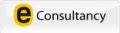 E-Consultancy